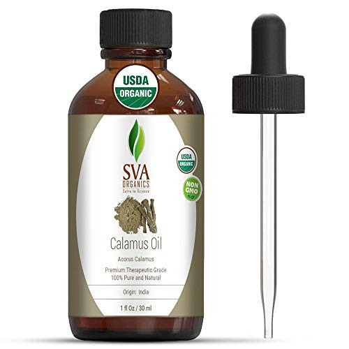 SVA Organics Calamus Essential Oil Organic 1 Oz USDA 100 Pure Natural Premium Therapeutic Grade with Dropper for Diffuser Aromatherapy Skin Hair Massage SVA Organics Calamus Essential Oil Organic 1 Oz USDA 100 Pure Natural Premium Therapeutic Grade with Dropper for Diffuser Aromatherapy Skin Hair Massage