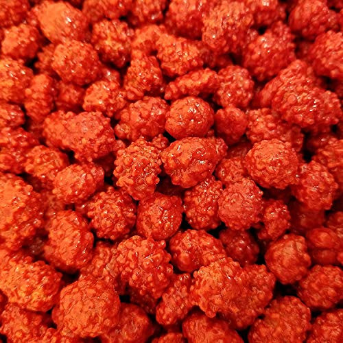 LaetaFood Pack  French Burnt Peanuts  Classic Old School Candy 3 Pounds Bag