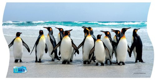 Uncle Milton National Geographic Wild Panorama 3-in-1 Puzzles 172 Pieces U16452