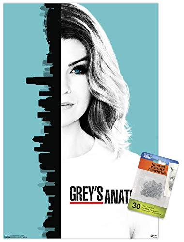 Grey s Anatomy Season 13 - One Sheet Wall Poster with Push Pins