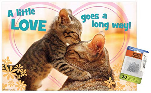 Avanti - Kitten Kisses Wall Poster with Push Pins