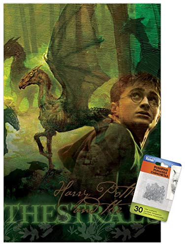 Harry Potter and the Order of the Phoenix - Thestrals Wall Poster with Push Pins