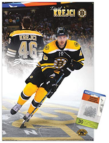 NHL Boston Bruins - David Krejc 13 Wall Poster with Push Pins