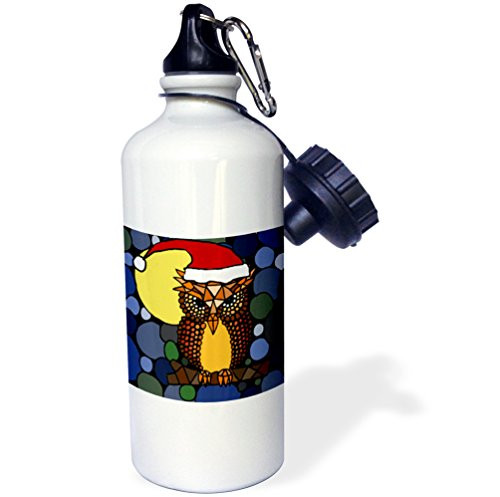 3dRose Christmas Owl Art Abstract Original-Sports Water Bottle  21oz   21 oz  Multicolor