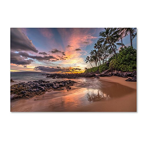 Trademark Fine Art Hawaiian Sunset Wonder by Pierre Leclerc, 16x24-Inch Canvas Wall Art Trademark Fine Art Hawaiian Sunset Wonder by Pierre Leclerc, 16x24-Inch Canvas Wall Art