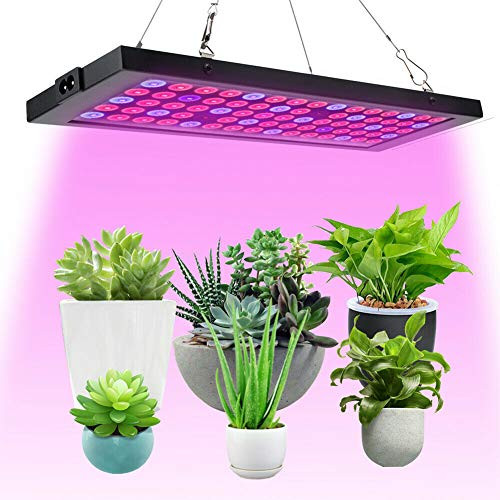 LED Grow Lights for Indoor Plants Full Spectrum Panel Plant Light 100W LED Grow Lamp with IR UV for Greenhouse  Hydroponic  Veg  Succulents  Seedlings and Flower 75Pcs LEDs