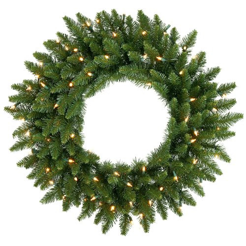Vickerman Warm White LED Lights Frosted Bellevue Alpine Artificial Christmas Wreath, 24-Inch