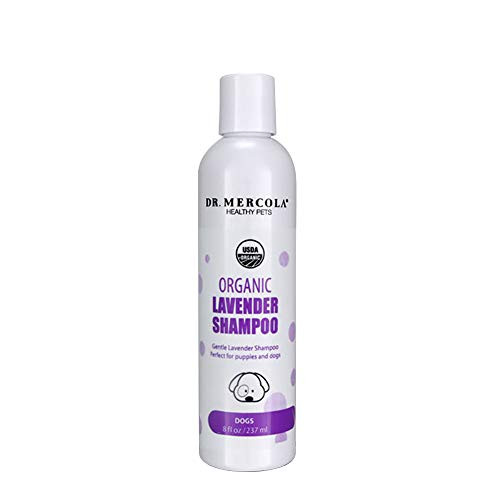 Dr- Mercola Organic Lavender Shampoo for Dogs  8 fl oz- 237 ml  USDA Organic