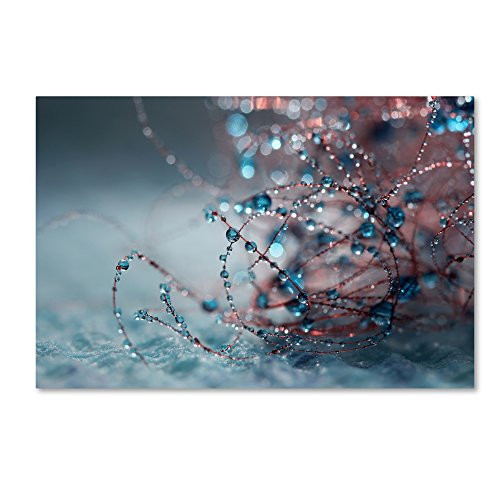 Trademark Fine Art Blue Silence by Beata Czyzowska Young, 22x32-Inch Canvas Wall Art