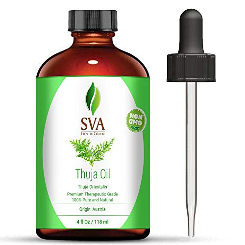 SVA Organics Thuja Essential Oil 4 Oz 100 Pure Natural Undiluted Premium Therapeutic Grade Oil for Aromatherapy Diffuser Hair Care Skin Care Glowing Skin SVA Organics Thuja Essential Oil 4 Oz 100 Pure Natural Undiluted Premium Therapeutic Grade Oil for Aromatherapy Diffuser Hair Care Skin Care Glowing Skin