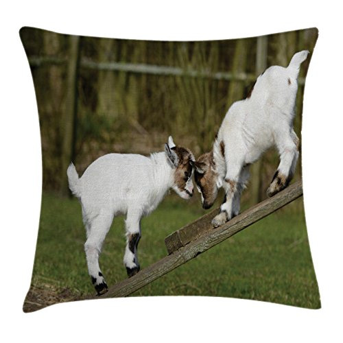 Ambesonne Animal Throw Pillow Cushion Cover  Little Baby Goats on a Bench Their Horns Picture Image Design  Decorative Square Accent Pillow Case  20  X 20   White Green