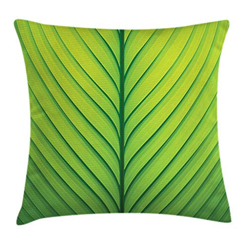 Ambesonne Green Throw Pillow Cushion Cover Wavy Striped Texture of a Green Leaf Macro Close Up Graphic Fresh Plant Decorative Square Accent Pillow Case 20 X 20 Apple Green Ambesonne Green Throw Pillow Cushion Cover Wavy Striped Texture of a Green Leaf Macro Close Up Graphic Fresh Plant Decorative Square Accent Pillow Case 20 X 20 Apple Green