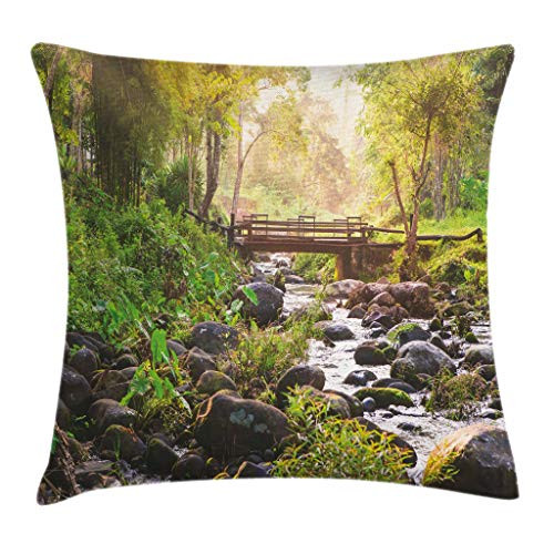 Ambesonne Landscape Throw Pillow Cushion Cover  Small Waterfall in Deep Forest Thailand Sunlight Morning Nature Scenery  Decorative Square Accent Pillow Case  20  X 20   Brown Green