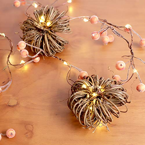 MIYA LIFE Rattan Berry Pumpkin String Lights 10ft 30LEDs Copper Wire with Remote   Timer for Thanksgiving Halloween Christmas Birthday Gift Autumn Parties Home Bedroom Decoration