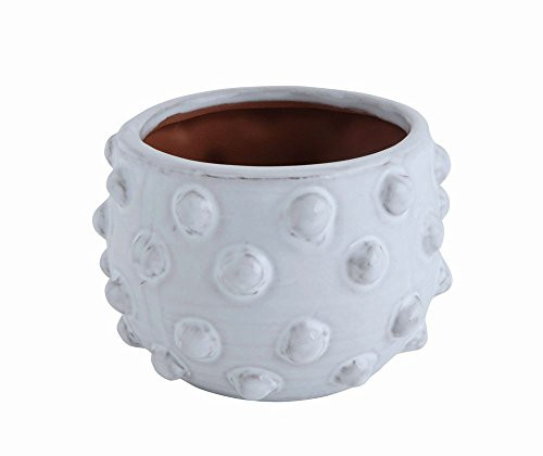 Creative Co-Op 6-1-4  Round x 4-3-4 H Terra-cotta Planter  White w- Raised Dots