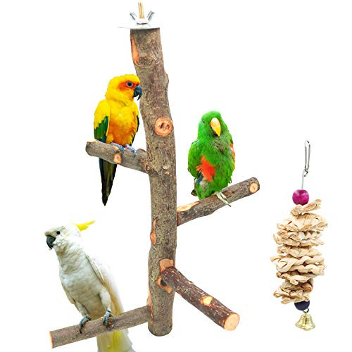 suruikei Bird Perch Nature Apple Hard Wood Stand  Parrot Stand Toy Branch Platform Paw Grinding Stick for Small Parakeets Cockatiels Conures Parrots Love Birds Finches Cage Accessories Set 1