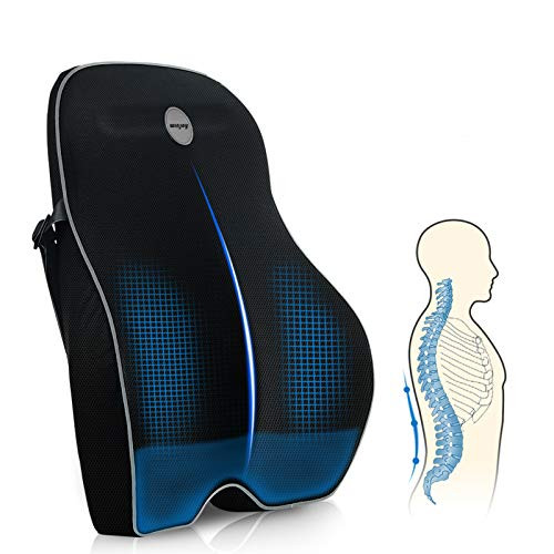 Winjoy Lumbar Support Pillow for Office Chair  Memory Foam Ergonomic Orthopedic Backrest Back Cushion Pillow for Wheelchair  Car  Computer and Desk Seat-Lower Back Pain Relief