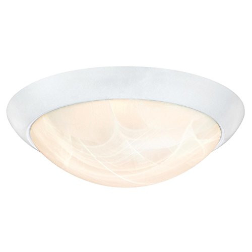 Westinghouse 6106600 11-inch Energy Star LED Indoor Flush Mount Ceiling Fixture, White Finish with White Alabaster Glass Westinghouse 6106600 11-inch Energy Star LED Indoor Flush Mount Ceiling Fixture, White Finish with White Alabaster Glass