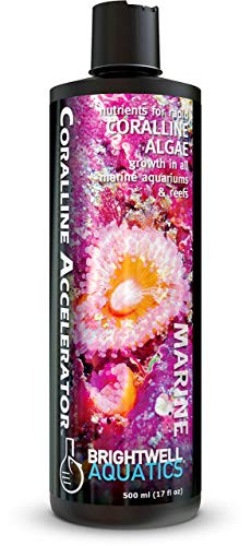 Brightwell Aquatics Coralline Accelerator - Multi-Nutrient Supplement for Coralline Algae Growth in Marine and Reef Aquariums  500 ml