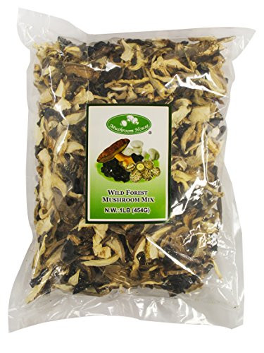 Mushroom House Dried Mushroom Forest Blend  1 Pound