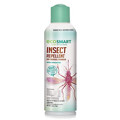 Ecosmart Organic Insect Repellent  Best Natural Bug Spray  6 oz Aerosol Spray Can 2 Pack