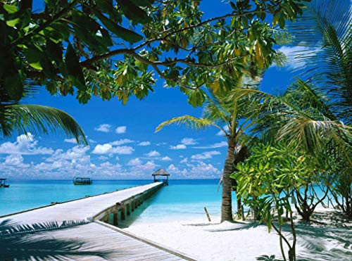 Arte Vita Maldives Puzzle Summer Sea Large Paper Puzzle 1000 Pieces Jigsaw Puzzle Kids Adult