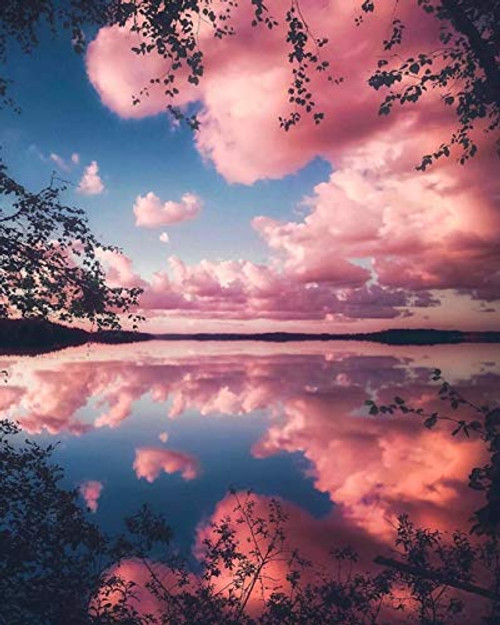 DIY Paint by Numbers Canvas Oil Painting Kit for Kids   Adults  16  x 20  Drawing Paintwork with Paintbrushes  Acrylic Pigment - Summer Pink Sky