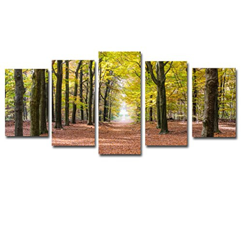 Noah Art Modern Forest Tree Art Print, Walking on A Forest Pathway Landscape Paintings Photos to Canvas Prints, 5 Piece Large Framed Autumn Decor Art for Living Room Home Decorations