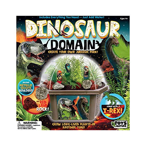 Grow Your Own Dinosaur Biosphere - Unique And Fascinating Prehistoric Pines  Ferns And Palms - Collection Of Prehistoric Plants Is Quick To Sprout And Guaranteed To Grow
