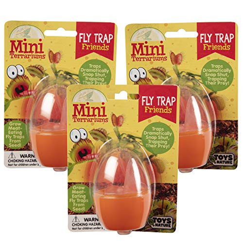 TOYS BY NATURE Grow Your Own Venus Fly Trap 3 Pack - Fun and Easy to Grow - Kids Mini Terrarium Kit to Grow Bug Eating Plants - Grow Meat Eating Fly Traps from Seed TOYS BY NATURE Grow Your Own Venus Fly Trap 3 Pack - Fun and Easy to Grow - Kids Mini Terrarium Kit to Grow Bug Eating Plants - Grow Meat Eating Fly Traps from Seed
