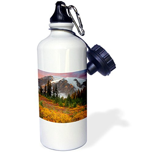 3dRose  USA  Washington  Mount Rainier NP  Paradise area US48 BJA0117 Jaynes Gallery  Sports Water Bottle  21 oz  White