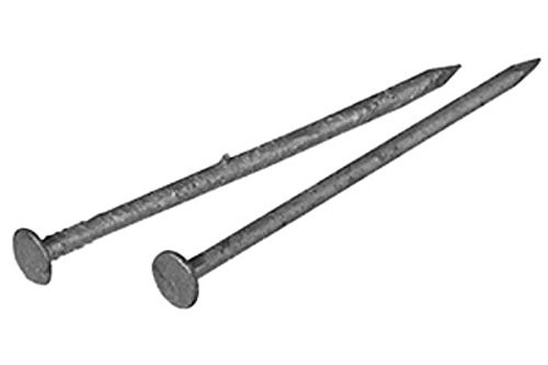 HILLMAN FASTENERS 461317 5 lb 2  6D Galvanized Box Nail