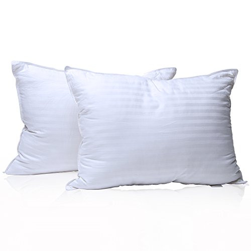 Pillows for Sleeping 2 Pack Queen Size 20x30 inch  Set of 2 Bed Pillows - Hotel Pillow - Soft Material Goose Down Alternative