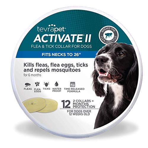 TevraPet Activate II Flea and Tick Collar for Dogs  12 Months of Flea and Tick Protection  Repels Mosquitos