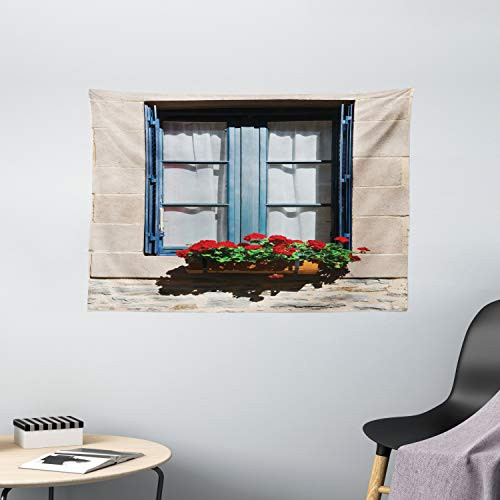 Ambesonne Shutters Decor Tapestry  Mediterranean Style Window with Open Window Shutters Image French Urban Life Style Decor  Wall Hanging for Bedroom Living Room Dorm  60 W X 40 L Inches  Blue Grey