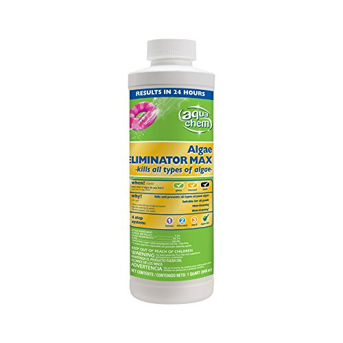 Aqua Chem Algae Eliminator Max Algaecide for Swimming Pools, 1-Quart
