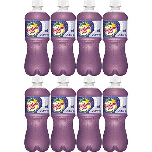 Canada Dry Blackberry Ginger Ale  20oz Bottle Pack of 8  Total of 160 Oz