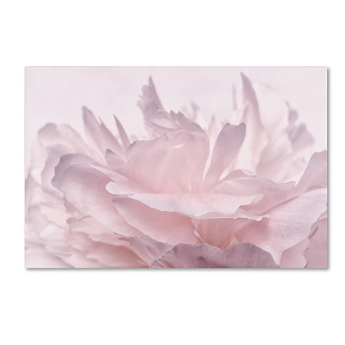Trademark Fine Art Pink Peony Petals III by Cora Niele, 22x32-Inch Canvas Wall Art Trademark Fine Art Pink Peony Petals III by Cora Niele, 22x32-Inch Canvas Wall Art
