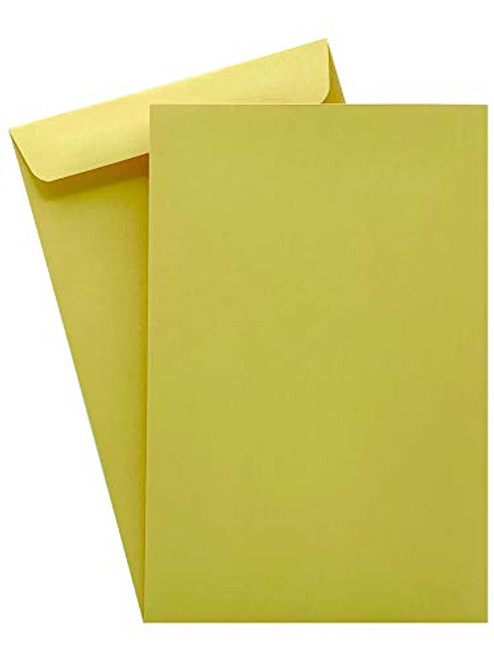 500 Cashier Depot 6 x 9 Premium Catalog Envelope Durable 24lb Kraft Deep Gum Flap 500 Envelopes 500 Cashier Depot 6 x 9 Premium Catalog Envelope Durable 24lb Kraft Deep Gum Flap 500 Envelopes