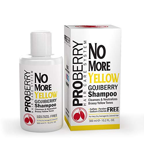 Goji Berry No Yellow Purple Toning Shampoo  Brighten Blonde  Silver   Highlighted Hair - Violet Shampoo Instantly Clean   Neutralize Brassy Yellow Tones - Sulfate  Paraben   Sodium Chloride Free - 10-2 OZ