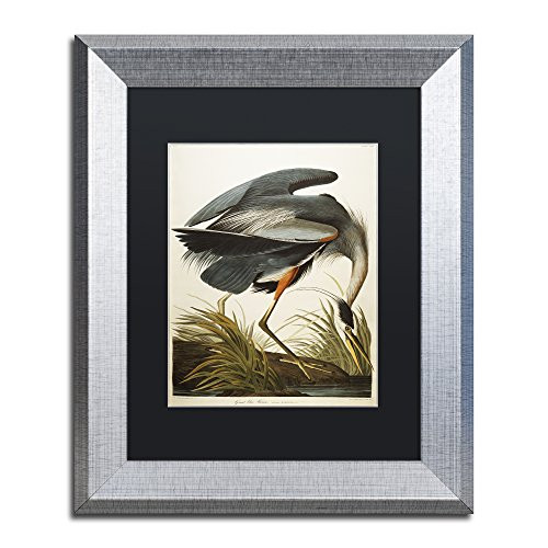 Great Blue Heron by John James Audubon, Black Matte, Silver Frame 11x14-Inch
