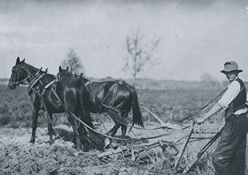 Farmer Behind Horses as They Pull a plow Through a Field Poster Print 18 x 24
