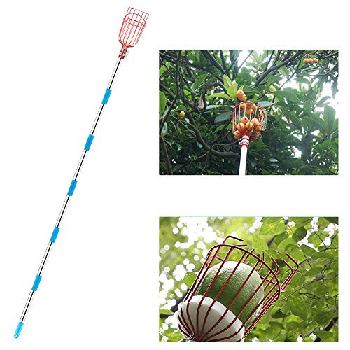 BestFire Fruit Picker Tool  13-Foot Fruit Picking Pole with Basket Telescoping  Lightweight Fruit Harvester Tool Stainless Steel Fruits Catcher Tree Picker for Getting Apple  Fruits Tree