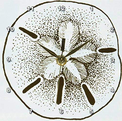 3dRose dc_99317_1 Blue and Brown Sand Dollar Shells Beach Theme Art Desk Clock, 6 by 6-Inch