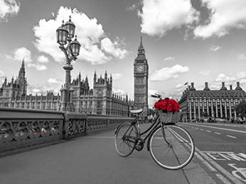 Bicycle with bunch of flowers on Westminster Bridge London UK Poster Print by Assaf Frank 18 x 24