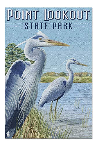 Point Lookout State Park  Maryland - Blue Heron 49548 19x27 Premium 1000 Piece Jigsaw Puzzle for Adults