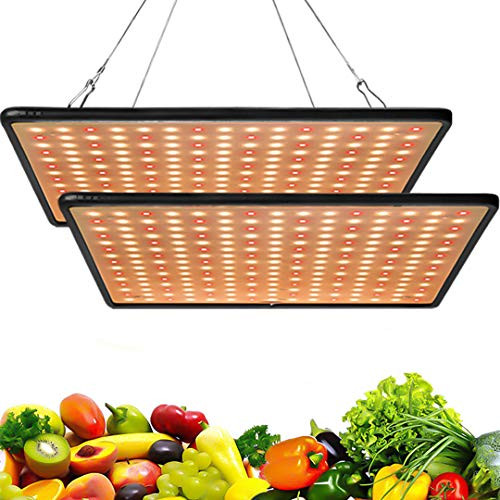 GREENSINDOOR LED Grow Light 300W LED Grow Lights Full Spectrum Led Growing Lamp for Indoor Hydroponic Plants Veg and Flower 2pcs BlueRed WhiteRed GREENSINDOOR LED Grow Light 300W LED Grow Lights Full Spectrum Led Growing Lamp for Indoor Hydroponic Plants Veg and Flower 2pcs BlueRed WhiteRed