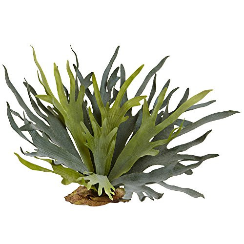 Nearly Natural 6107-S2 21 Staghorn Fern (Set of 2), 2 Piece