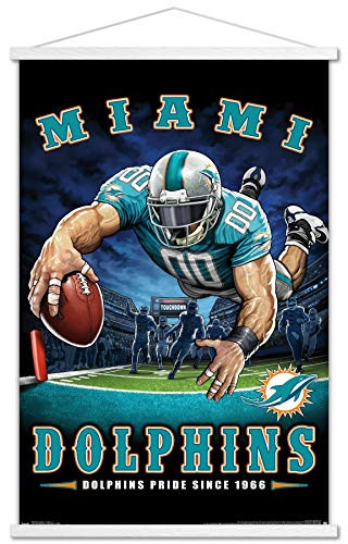 Trends International NFL Miami Dolphins - End Zone 17 Wall Poster with Wooden Magnetic Frame  22-375  x 34   Premium Print and White Hanger Bundle