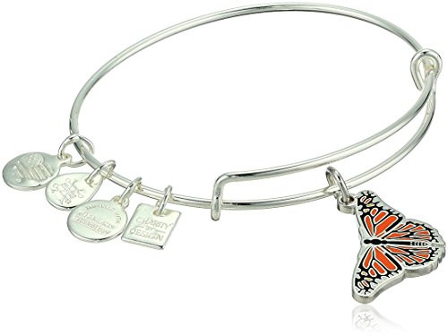 Alex and Ani Women s Monarch Butterfly Charm Bangle Bracelet  Shiny Silver  Expandable